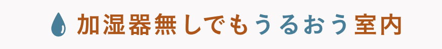 加湿器無しでもうるおう室内
