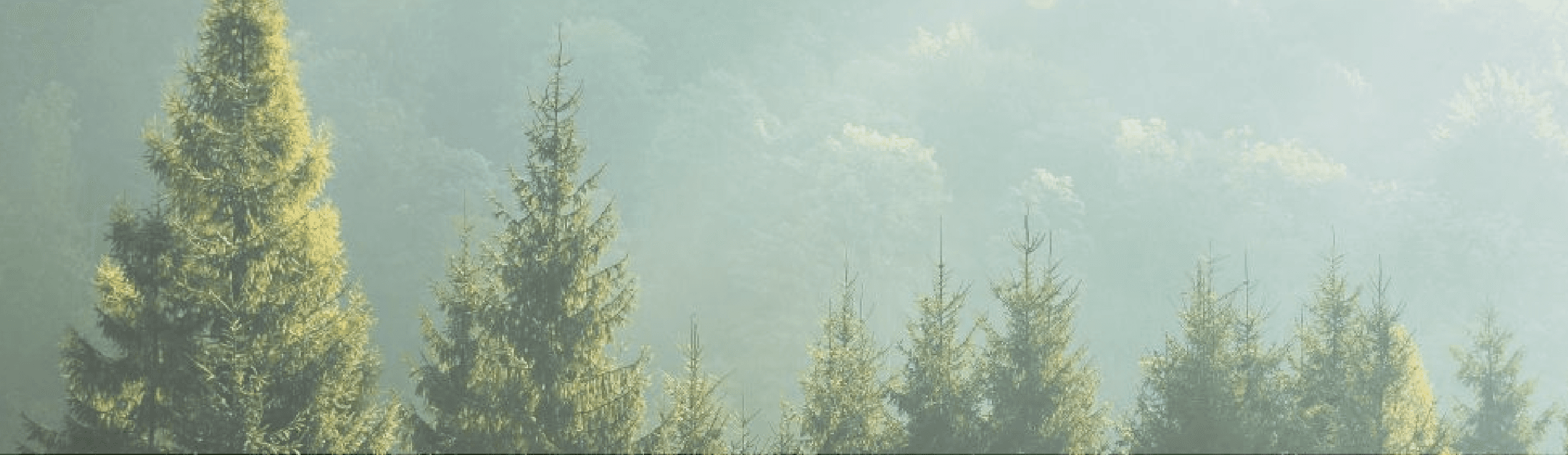 環境にやさしく省エネで経済的