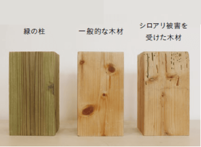緑の柱、一般的な木材、シロアリ被害を受けた木材