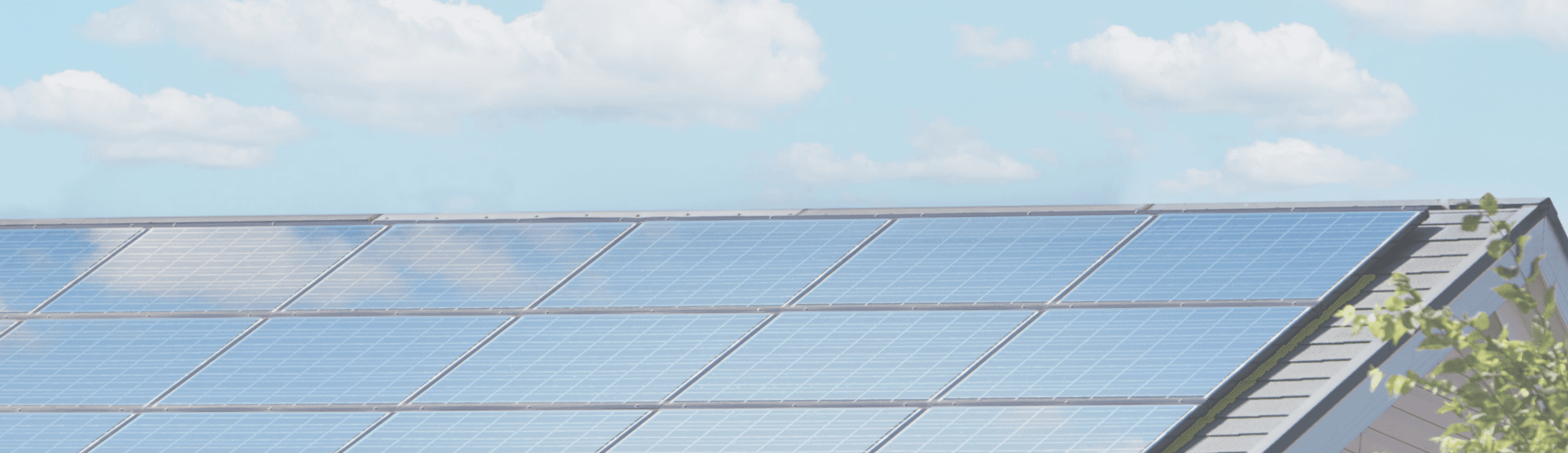 ソラネスリノベ