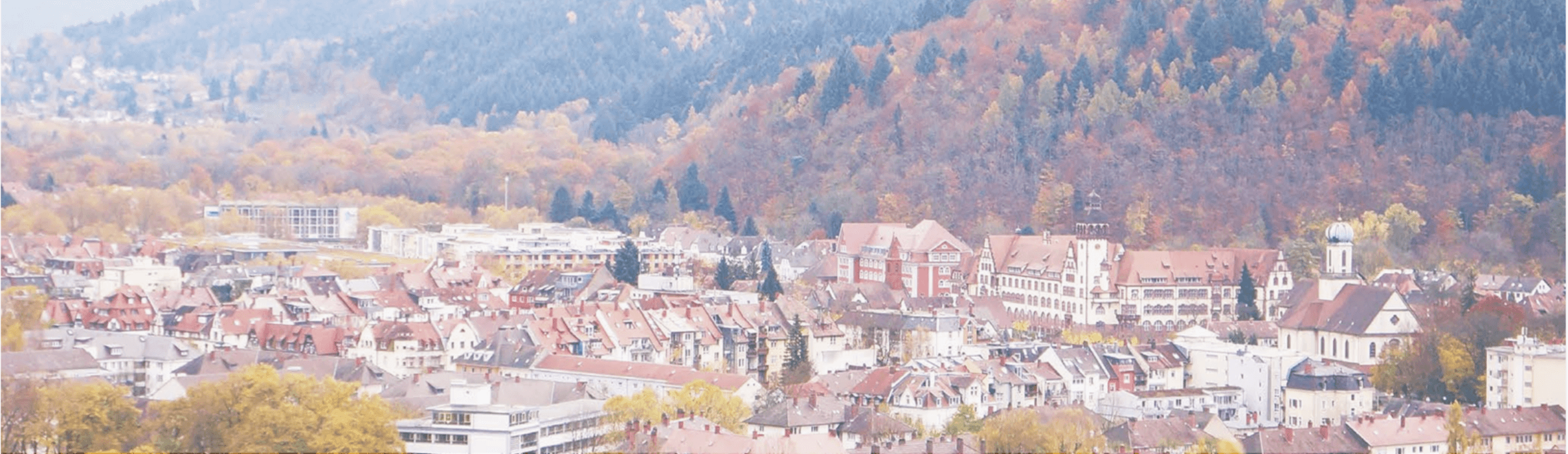 創業から変わらない理念とビジョン