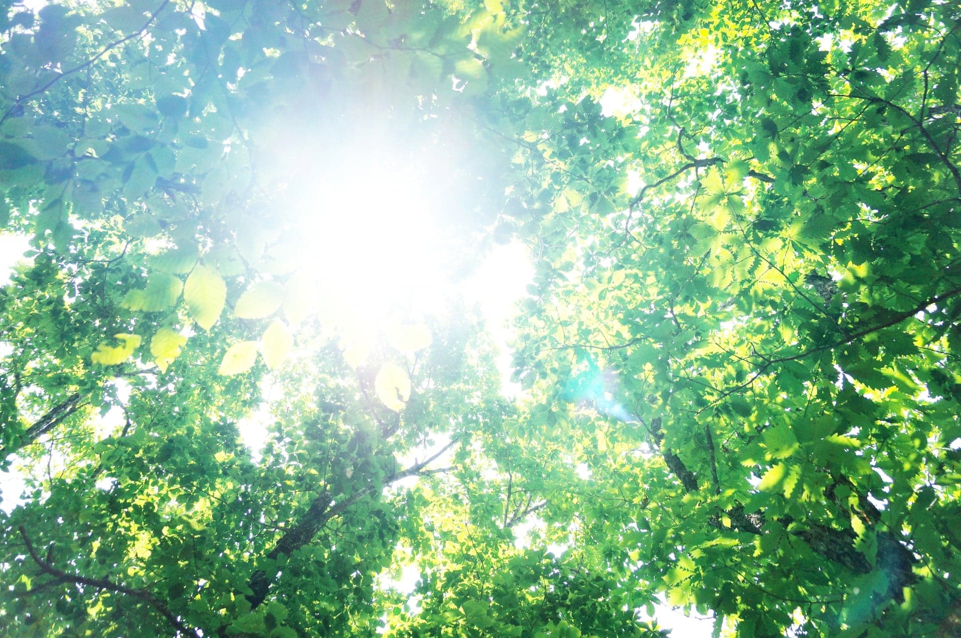 高気密高断熱は息苦しい? 気密性のメリットとデメリットを大公開