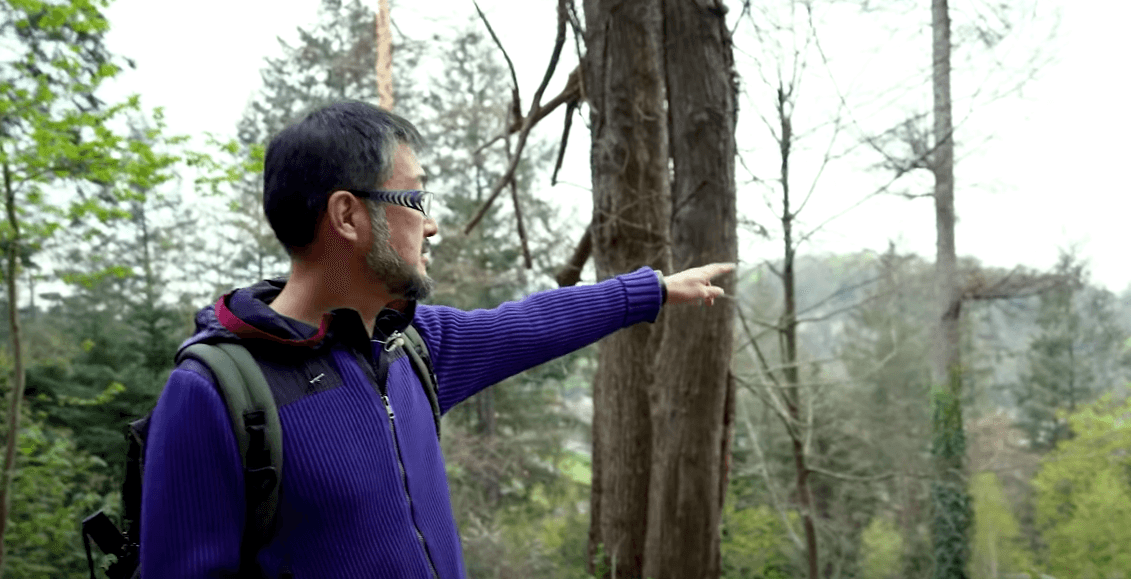 ドイツ フライブルクの旅③ フライブルクの森林業について学ぶ(前編)