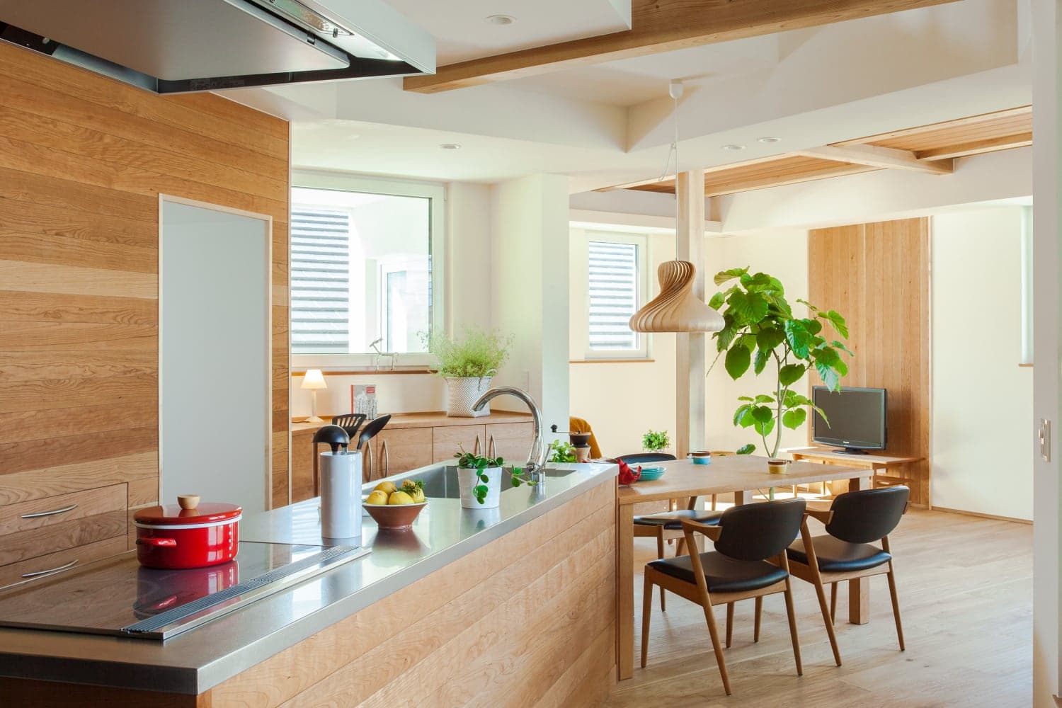 カビの生えない家の条件 カビと湿度の不都合な真実