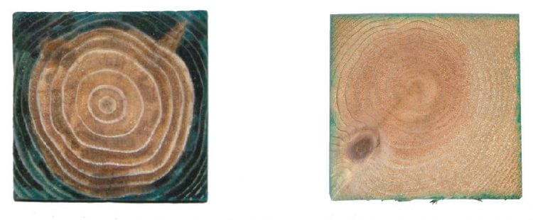 緑の柱と一般的な塗布処理木材の比較